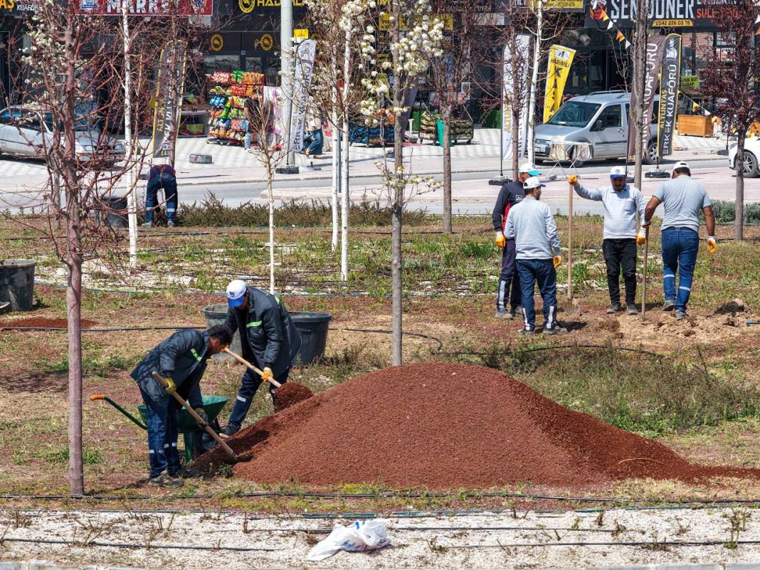 Zamanın yeşil aktığı Meram'da hummalı yaz hazırlığı! İşte karelerle o çalışmalar 5